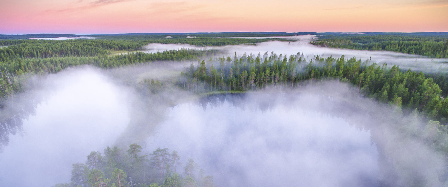 Päästöt vähenivät - Green Office -työ jatkuu