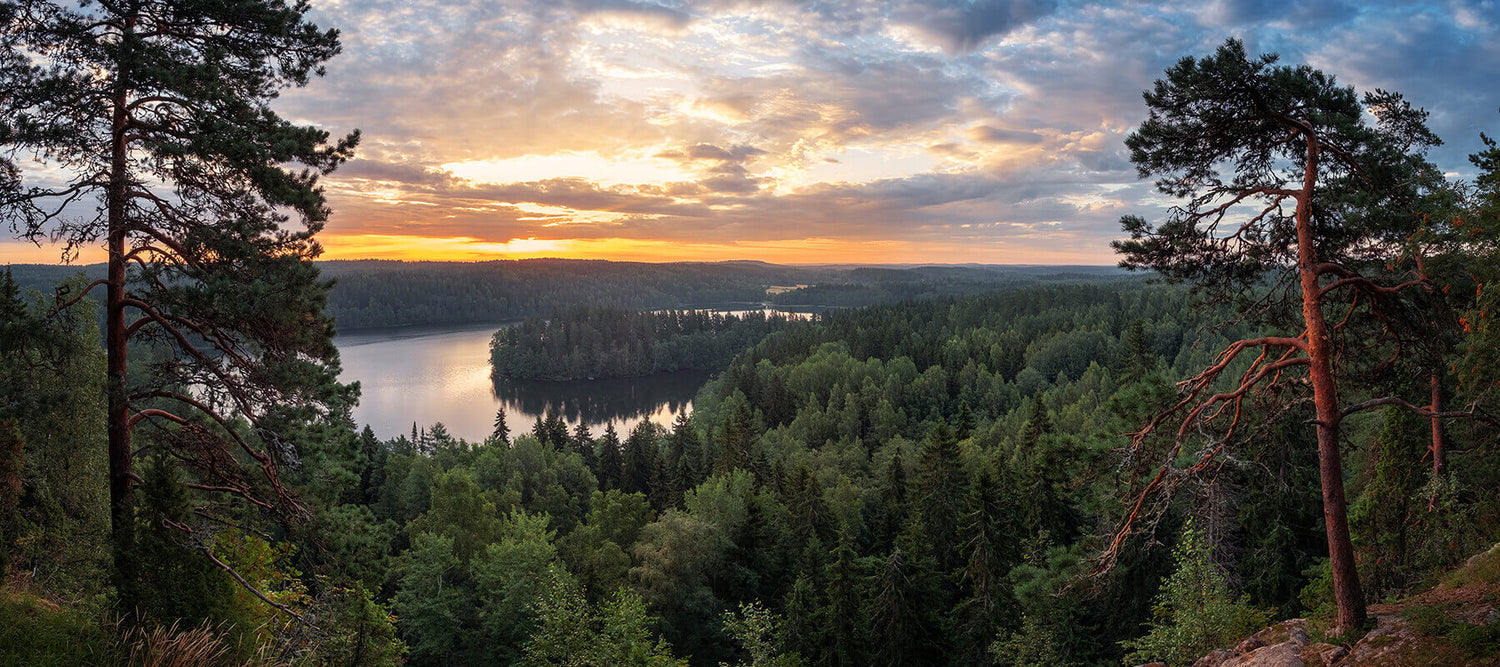 Halti vastuullisuus ja yritysvastuu