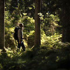 Halti Hiker Naisten Lite Anorakki - Metsä